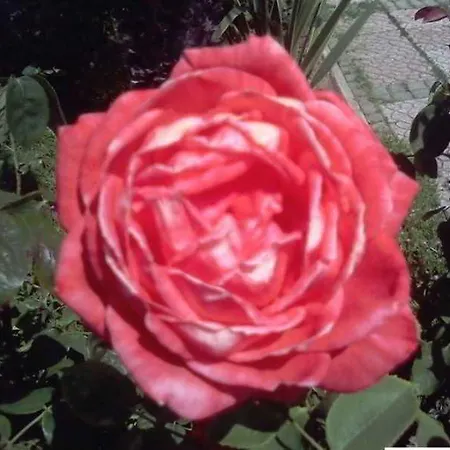 호텔 악치나르 이스탄불